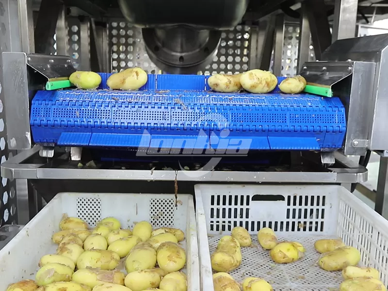 Industrial Steam Potato Peeler