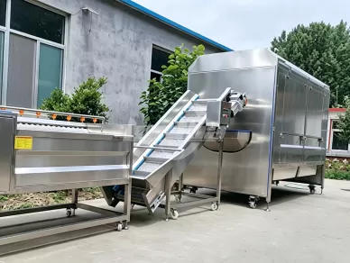 Large-Scale Knife-Type Potato Peeling Machine