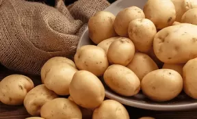 Potato