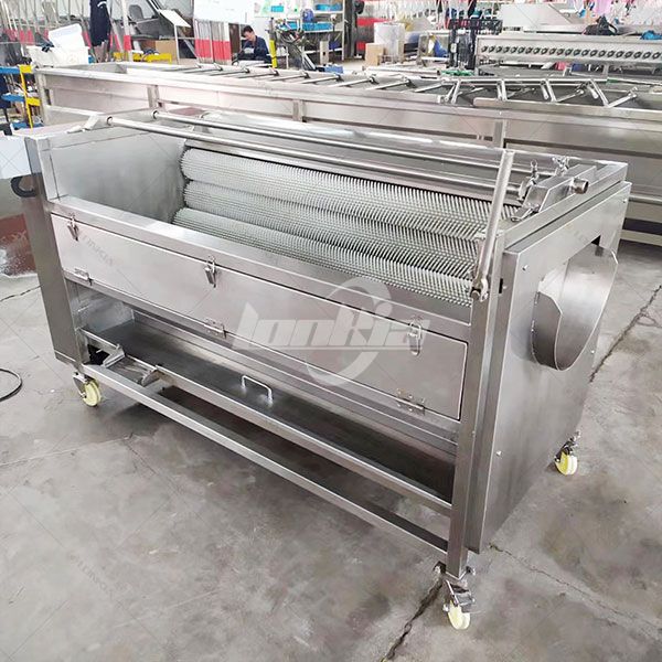 Industrial Potato Washer