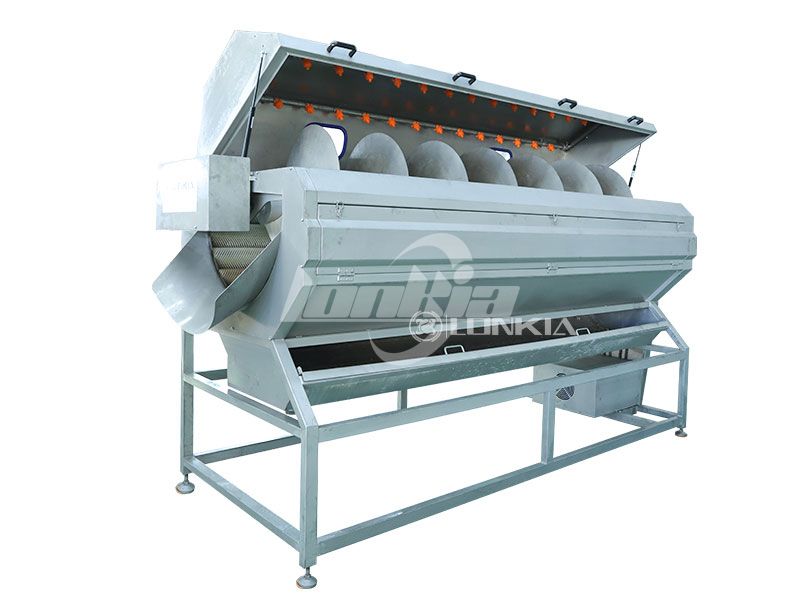 How Much Does a Brush Roller Potato Peeling Machine Cost?
