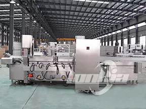 Continuous Fryer Machine