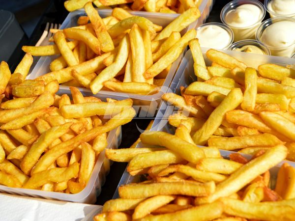 French Fries Manufacturing Plant Cost and ROI Analysis