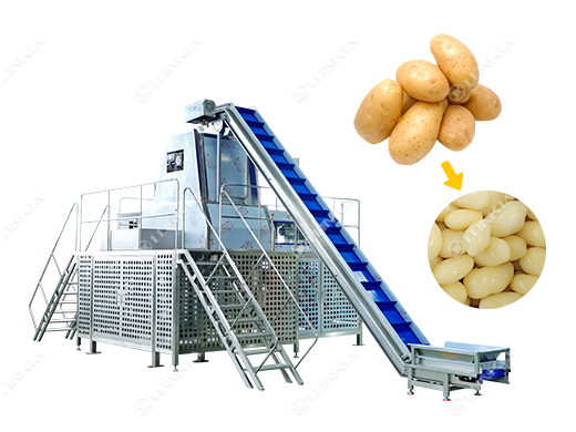 Steam Peeling Machine