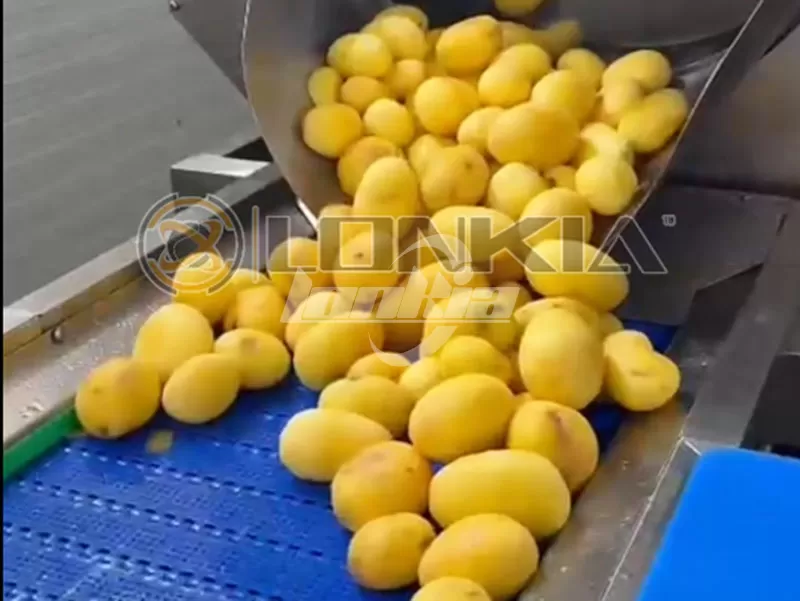 Peel the potatoes.