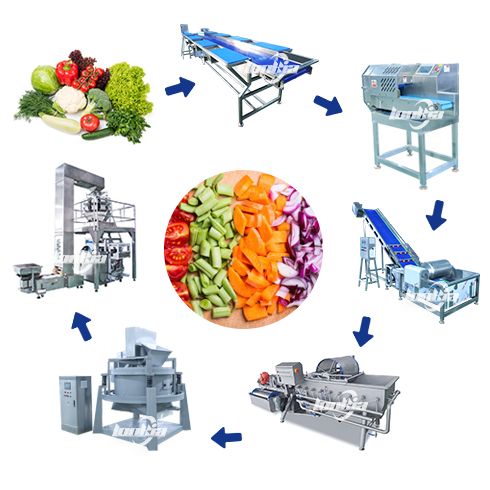 Vegetable washing, cutting, and packaging line