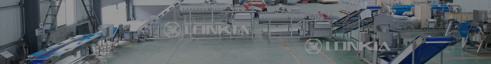 Vegetable washing, cutting, and packaging line
