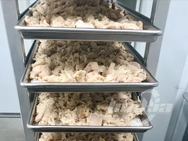 Freeze Dryers Machine Video