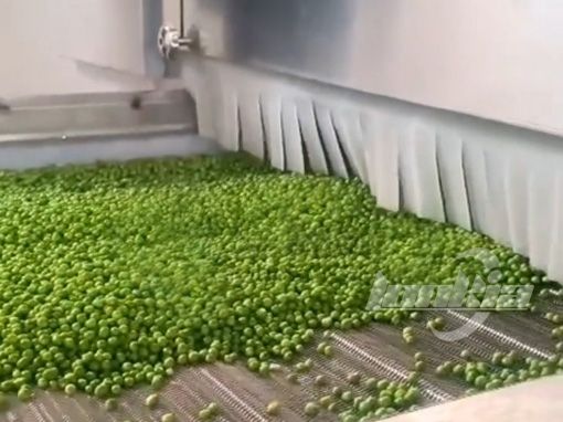 Fluidized Bed Freezer
