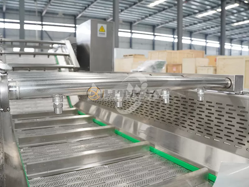 Industrial Vegetable Washer