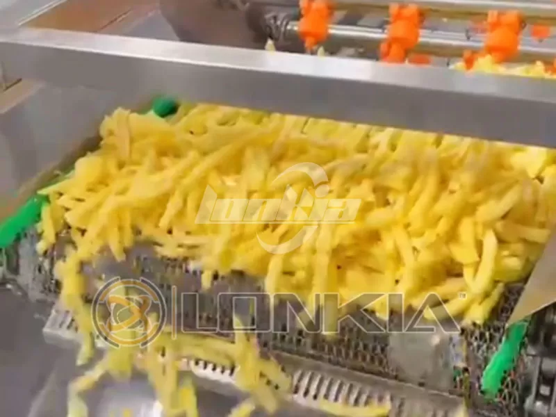 French fries washing