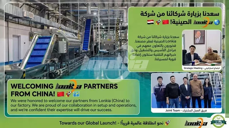 LONKIA Egypt 1.5 T/H Frozen French Fries Production Line Successfully Delivered and Highly Praised by Customer
