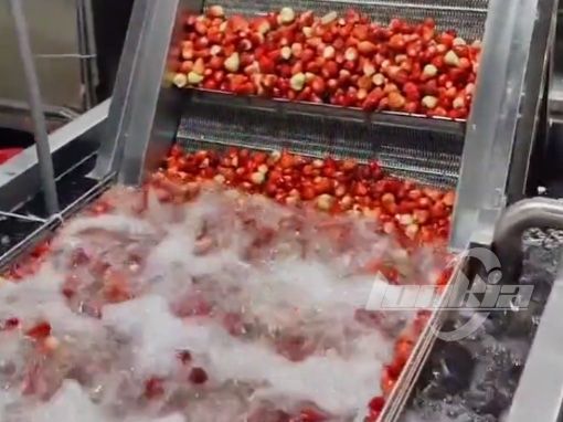 Tunnel freezer