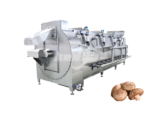 Spiral Blanching Machine