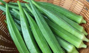 Okra