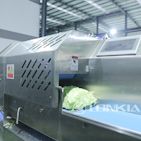 Vegetable Cutter
