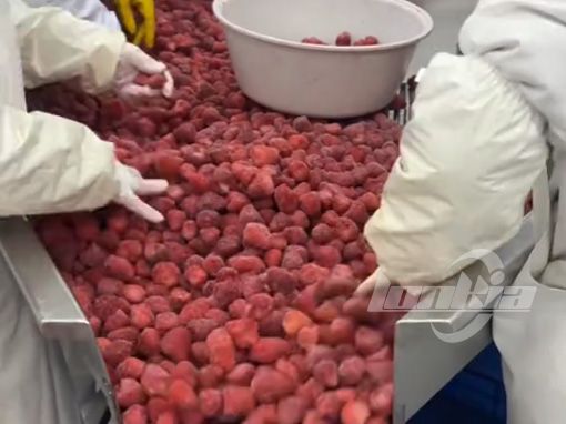 Tunnel freezer