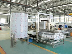 Continuous Fryer Machine
