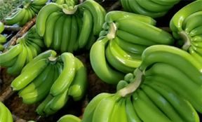 banana