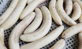 banana
