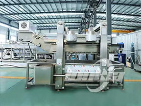 Continuous Fryer Machine