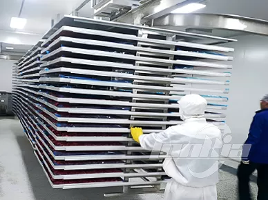 Freeze Dryers Machine