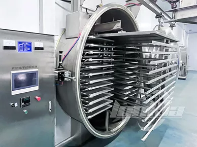 Freeze Dryers Machine