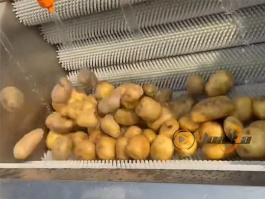 Brush Roller Peeler