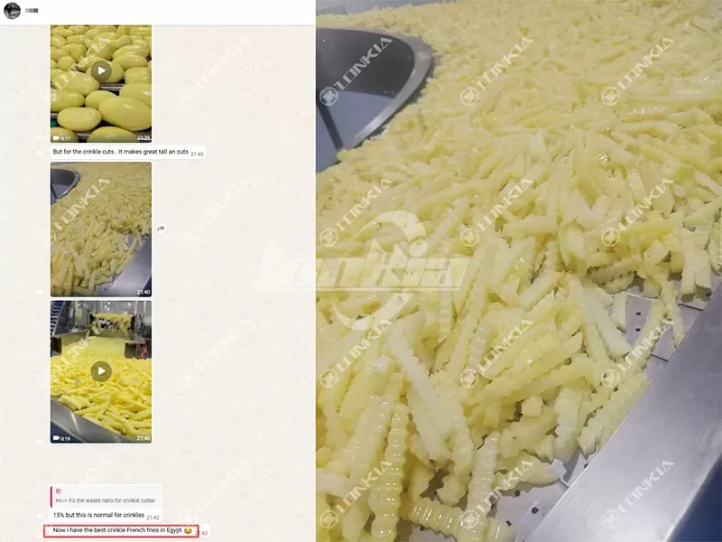 Customer feedback on LONKIA frozen French fries line