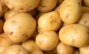 potato