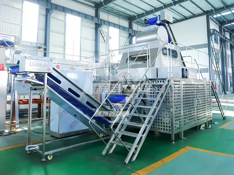 Potato Steam Peeling Machine Price: What Factors Affect Equipment Costs?