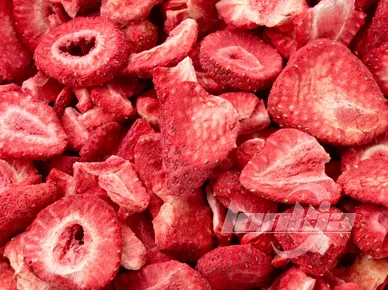 Freeze Dryers Machine Video