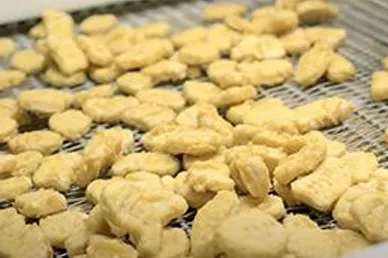 Chicken Nuggets Frying Line