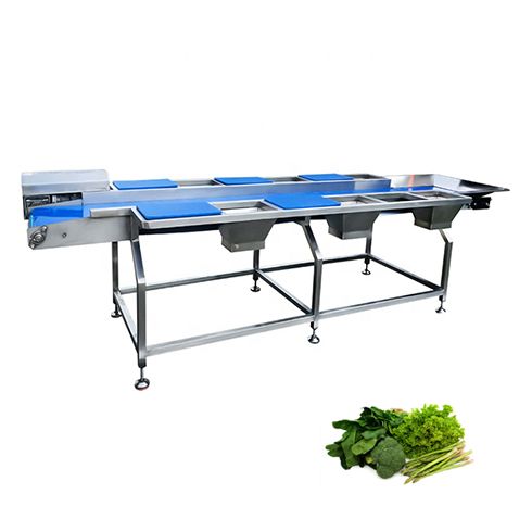 Vegetable washing, cutting, and packaging line
