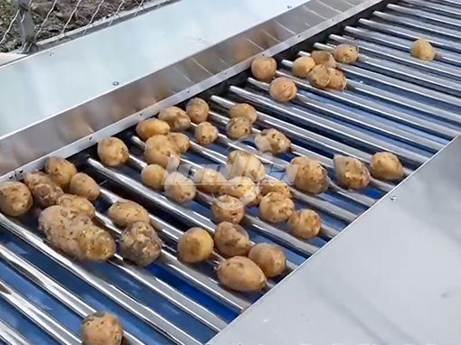 Potato Grading Machine