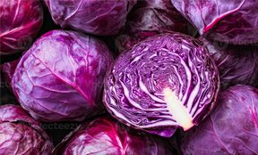 Red cabbage