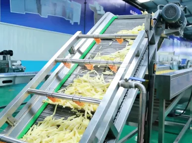 Potato Chips Processing Line