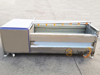 Brush Roller Peeler