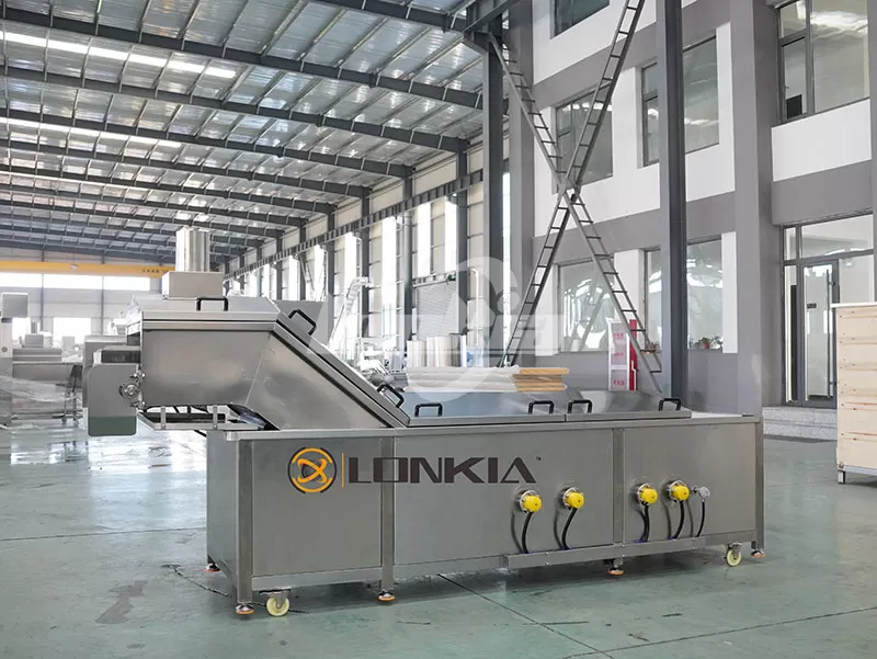 Continuous Blanching Machine