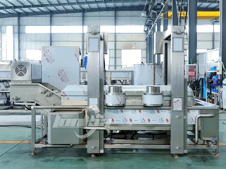 Continuous Frying Machine