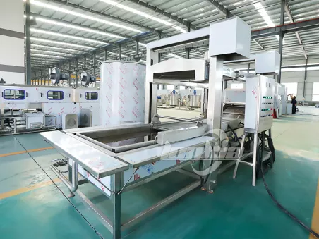 Continuous Frying Machine