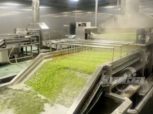 Fluidized Bed Freezer