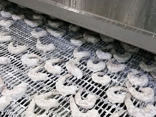Spiral Freezer