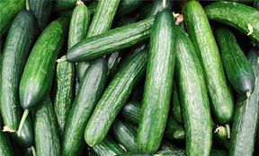 Cucumber