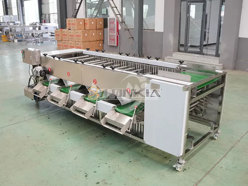 How to Choose a Potato Roller Grading Machine? A Complete Buying Guide
