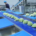 Inspection Table