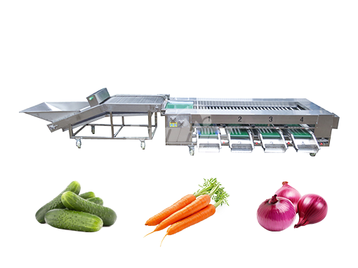 Potato Grading Machine
