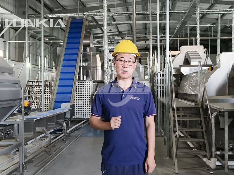French fries production line installation site