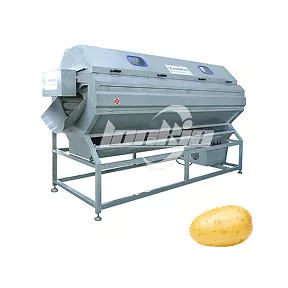 Brush Roller Washing Machine