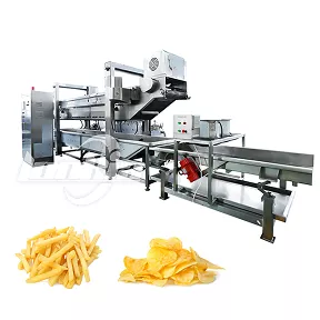 Continuous Frying Machine